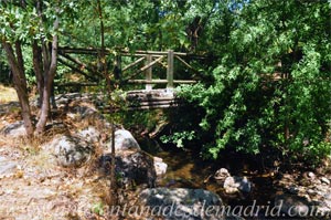 Alameda del Valle, Puente de madera sobre el arroyo de la Saca