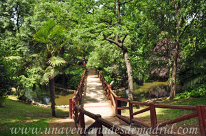 Campo Grande en El Retiro, Estanque e isla ovalada
