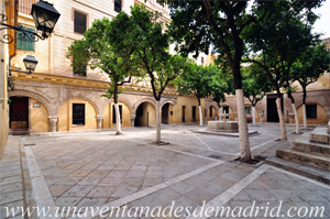 Sevilla, Patio de los Naranjos del Salvador