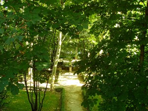 Parque de El Capricho, Jardn Bajo o de las Ranas