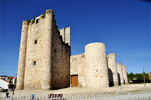 Torrejn de Velasco, Castillo de Puonrostro: Portn del Lienzo L-01