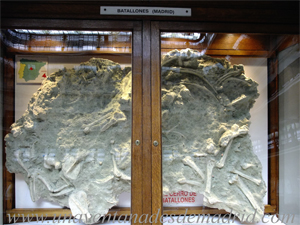 Torrejn de Velasco, Museo Geominero: Vitrina del Cerro de los Batallones